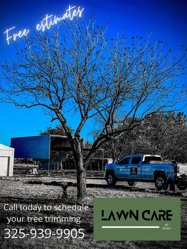 Trusted yard maintenance in San Angelo, TX by Premier Property Services