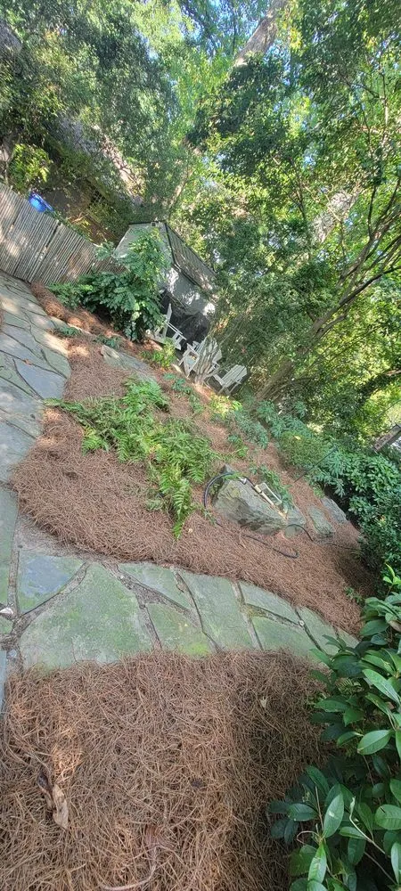 Expert landscape design in Atlanta, GA - Premier Rojas Landscapes LLC