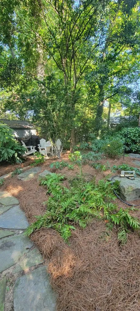 Reliable lawn care service in Atlanta, GA - Premier Rojas Landscapes LLC