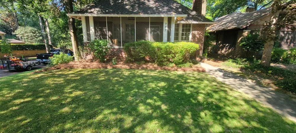 Local yard maintenance for outdoor upgrades in Atlanta, GA by Premier Rojas Landscapes LLC