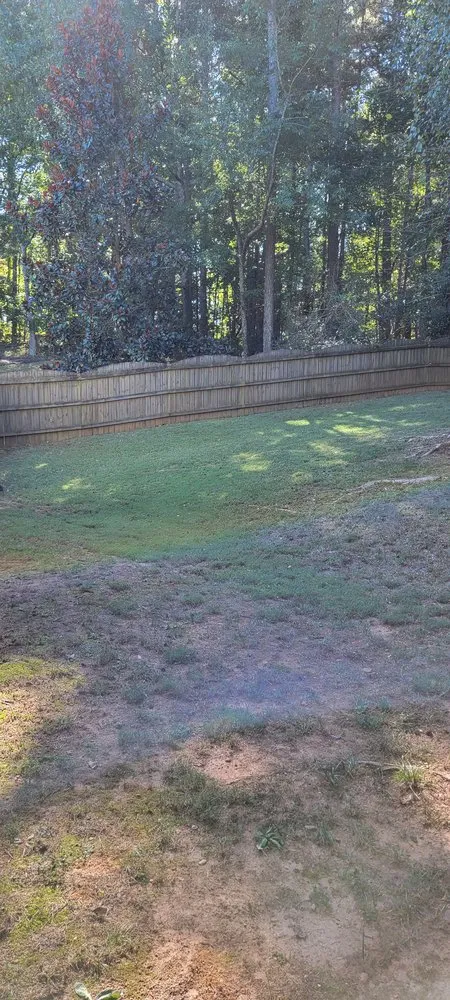 Custom lawn mowing service for year-round maintenance in Atlanta, GA by Premier Rojas Landscapes LLC