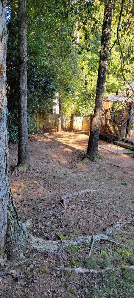 Reliable landscaping services experts serving Atlanta, GA - Premier Rojas Landscapes LLC