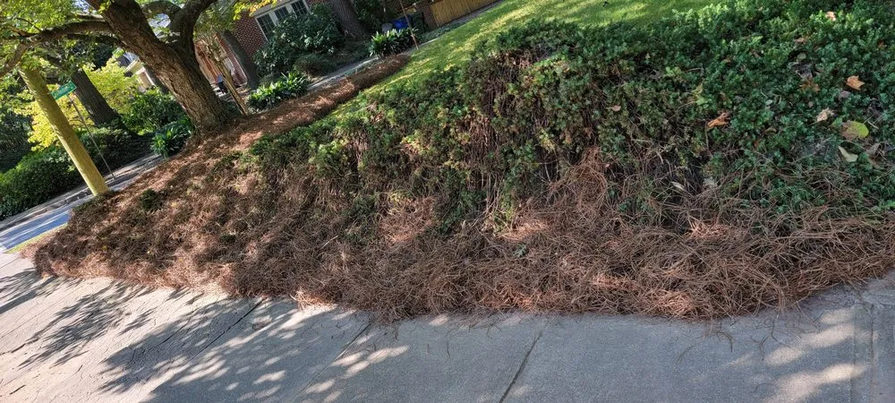 Professional yard cleanup service experts serving Atlanta, GA - Premier Rojas Landscapes LLC