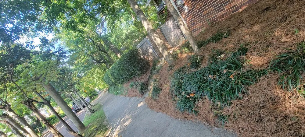 Custom landscape design experts serving Atlanta, GA - Premier Rojas Landscapes LLC