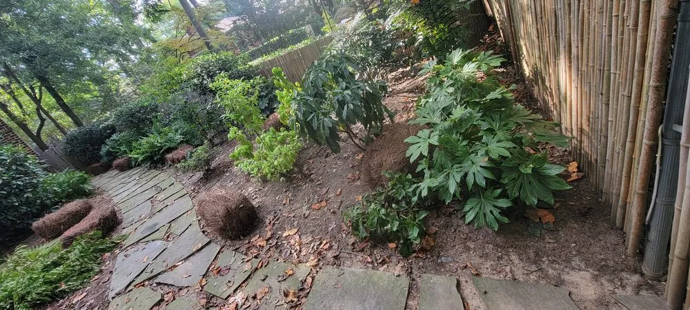 Professional landscape installation for beautiful yards across Atlanta, GA - Premier Rojas Landscapes LLC