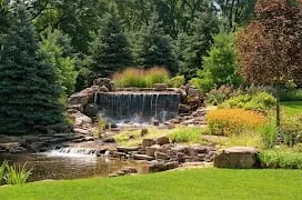 Affordable yard maintenance experts serving Lemont, IL - Premier Service