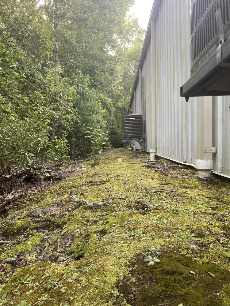 Trusted lawn care service experts serving Bryceville, FL - Premier Site Prep Excavation