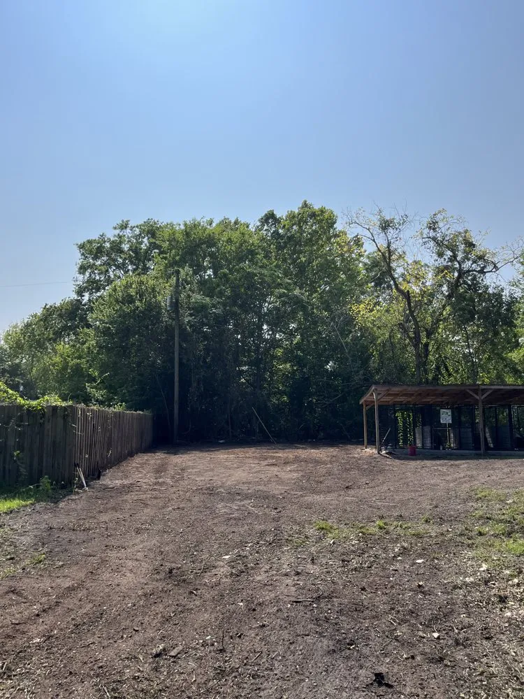 Local yard cleanup service near you in Bryceville, FL by Premier Site Prep Excavation