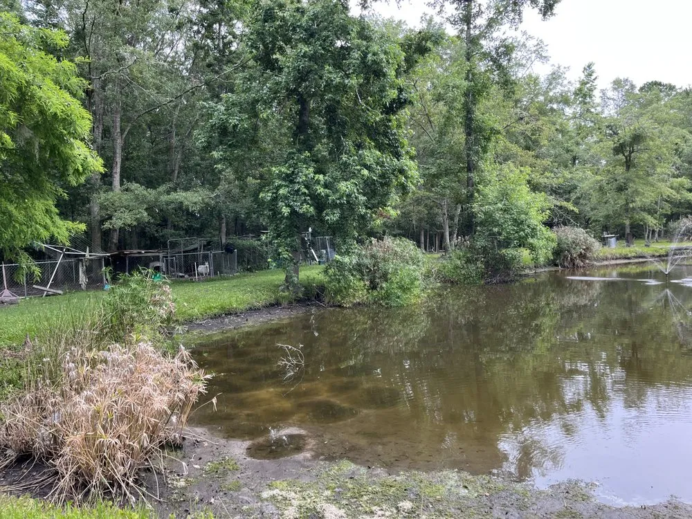 Professional yard maintenance for beautiful yards across Bryceville, FL - Premier Site Prep Excavation