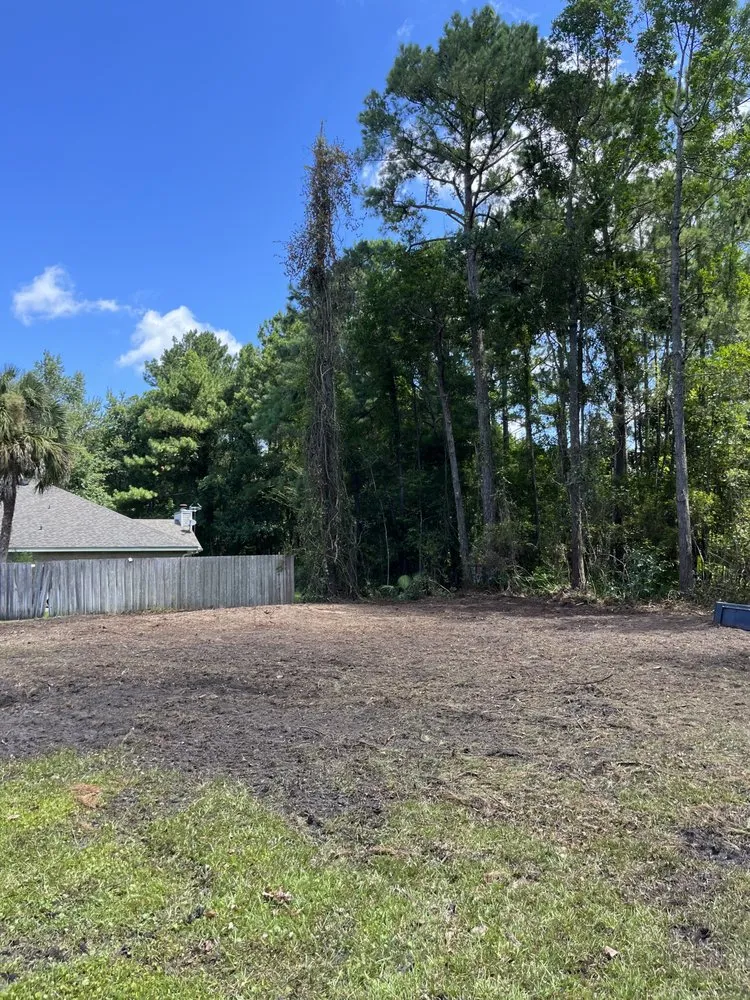 Expert yard cleanup service for beautiful yards across Bryceville, FL - Premier Site Prep Excavation