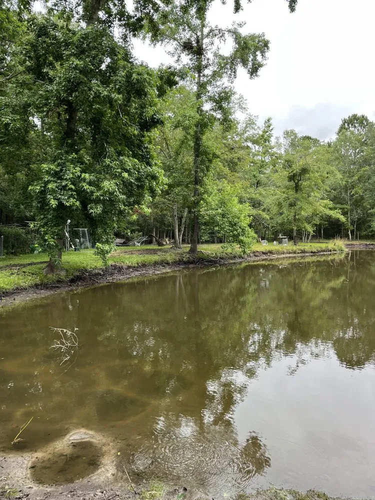 Professional yard cleanup service experts serving Bryceville, FL - Premier Site Prep Excavation