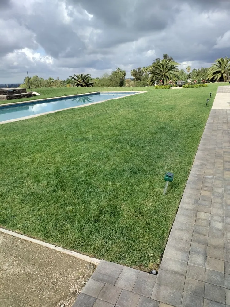 Expert yard maintenance for homes across Santa Ana, CA - Premier Smartscape