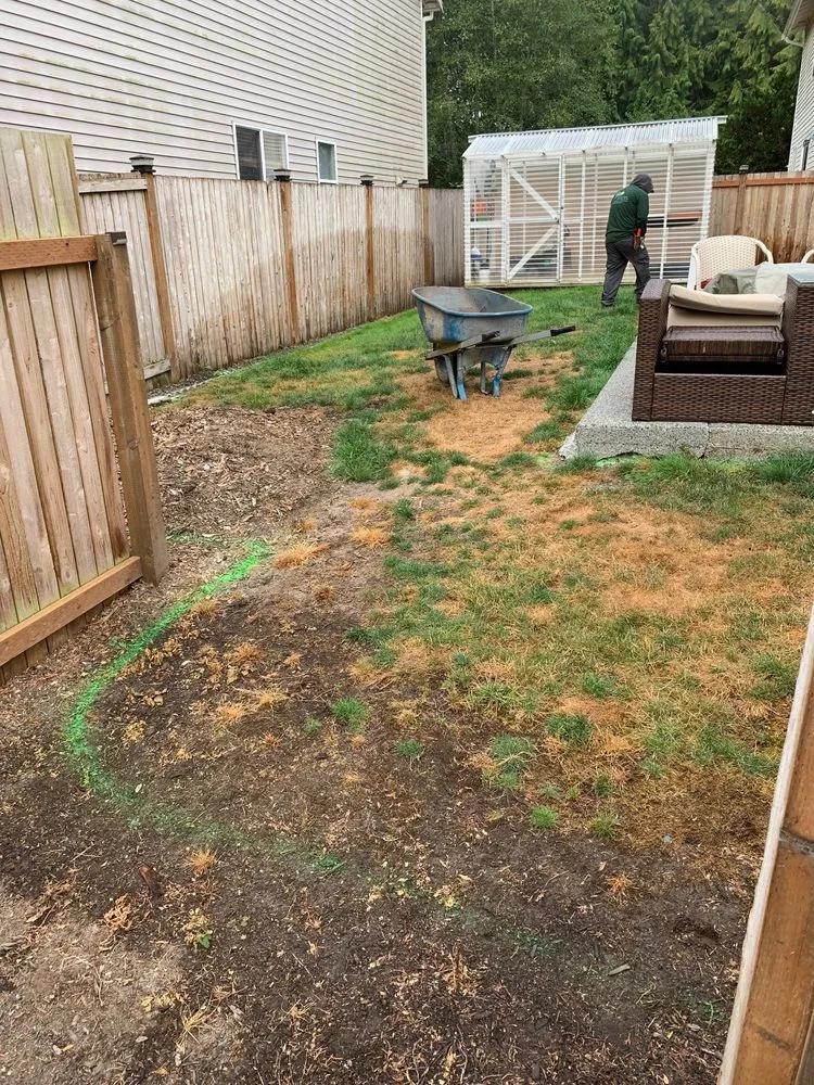 Affordable yard cleanup service experts serving Snohomish, WA - Premier Solutions NW
