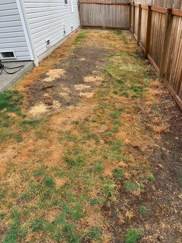 Local landscaping services experts serving Snohomish, WA - Premier Solutions NW