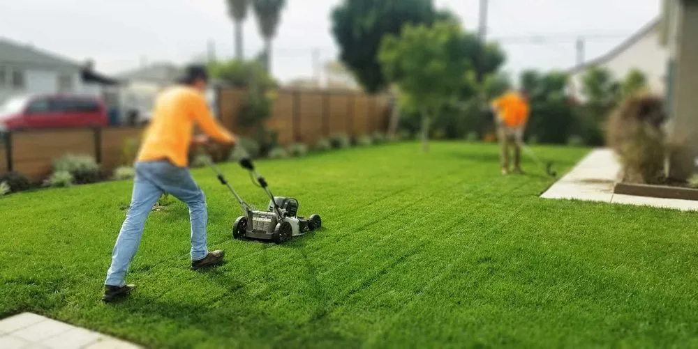 Professional garden landscaping in Dallas, GA by Premier Southern Lawn Care