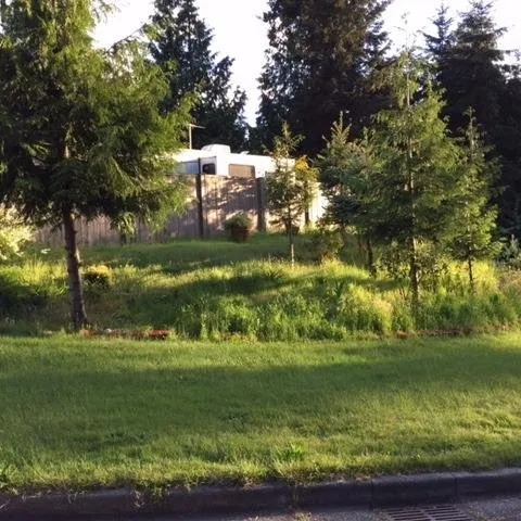 Reliable yard cleanup service in Seattle, WA - Premier Specialty Builders