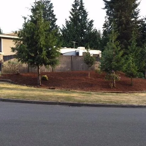 Professional yard maintenance with custom design in Seattle, WA by Premier Specialty Builders
