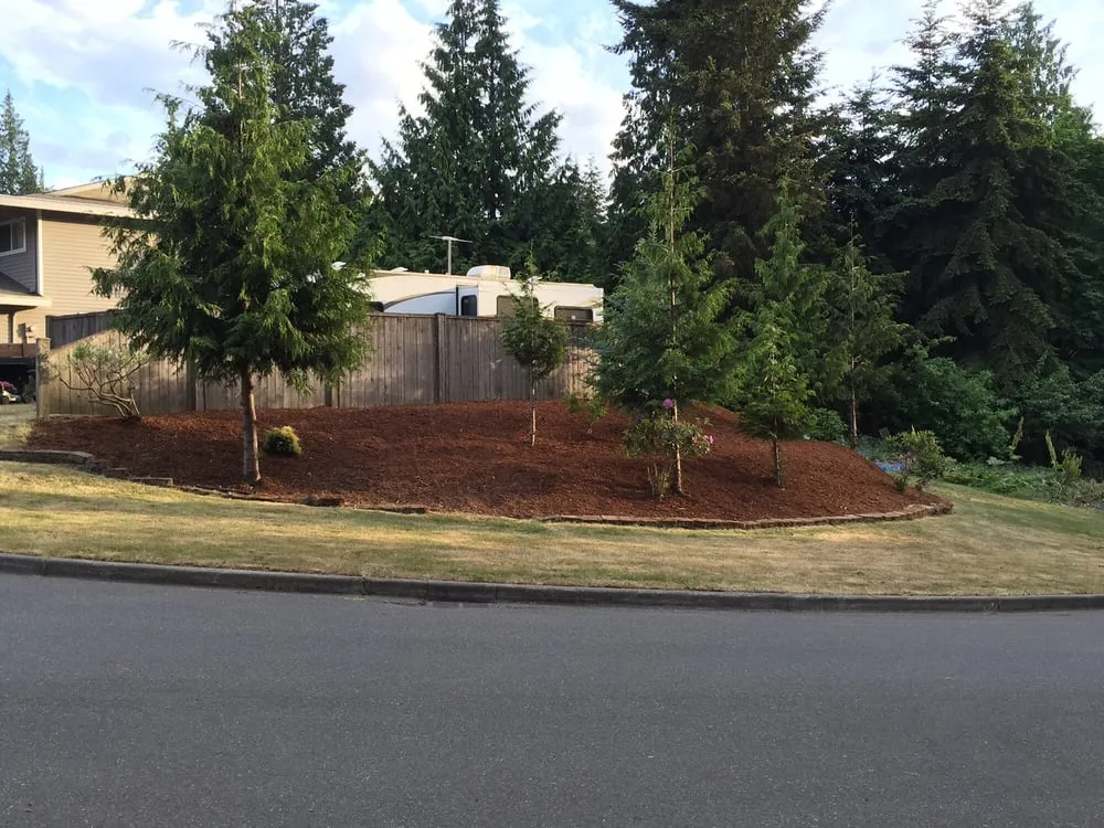 Affordable lawn mowing service experts serving Seattle, WA - Premier Specialty Builders