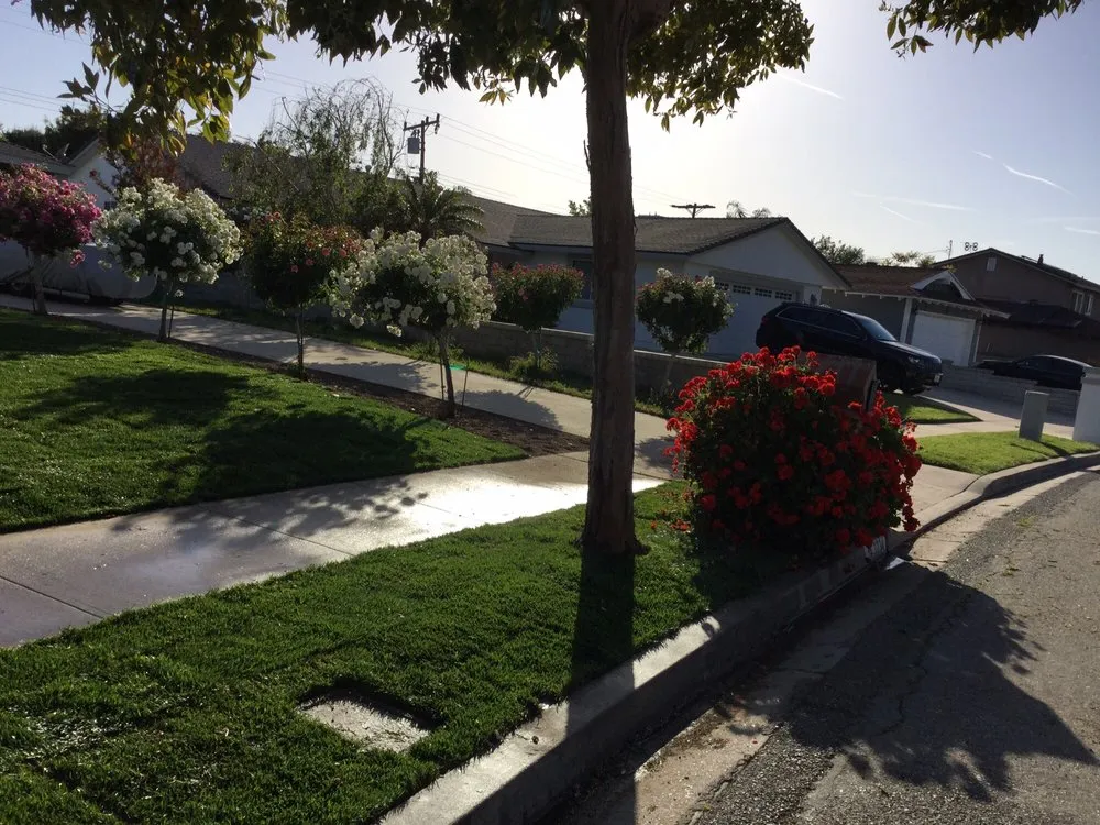 Custom outdoor landscaping for homes across Simi Valley, CA - Premier Tree & Landscape