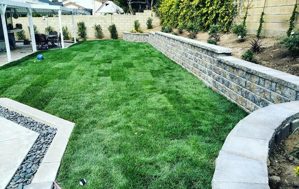 Professional lawn mowing service in Simi Valley, CA - Premier Tree & Landscape