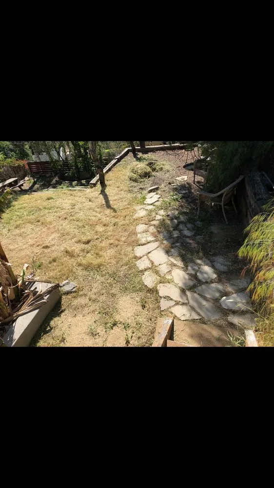 Reliable lawn care service in Simi Valley, CA by Premier Tree & Landscape