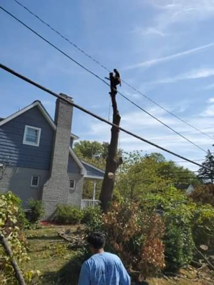 Custom yard maintenance near you across Castleton, VA - Premier Tree & Landscaping