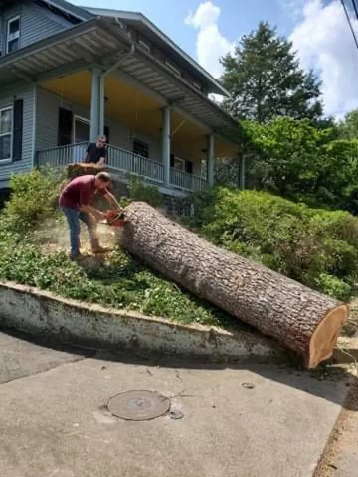 Affordable garden landscaping near you across Castleton, VA - Premier Tree & Landscaping