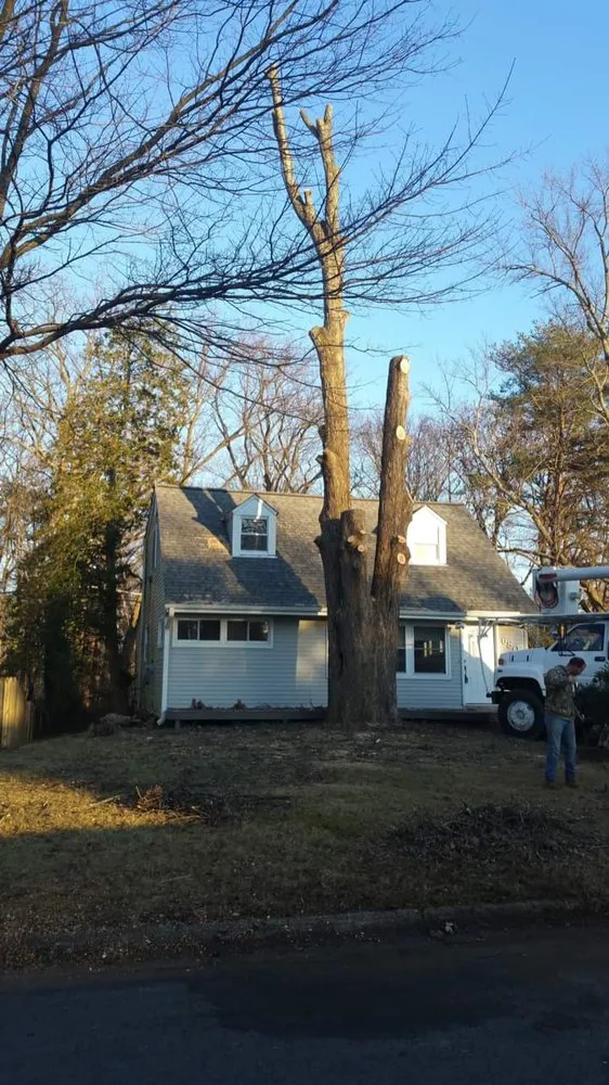 Reliable landscape installation in Castleton, VA - Premier Tree & Landscaping