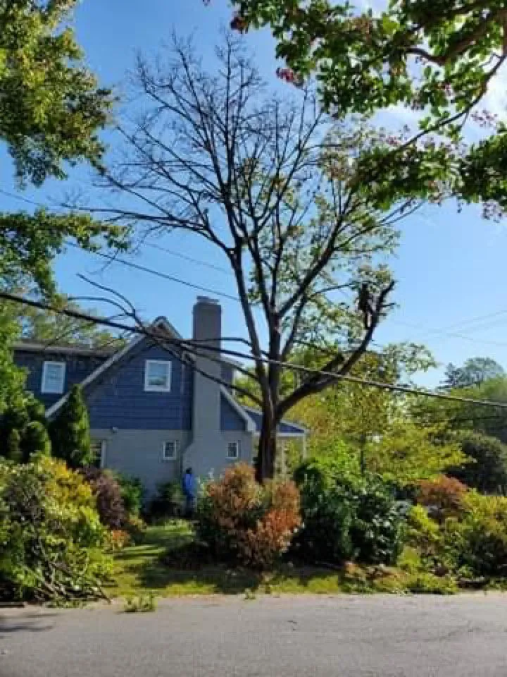 Trusted landscape installation for outdoor upgrades in Castleton, VA by Premier Tree & Landscaping