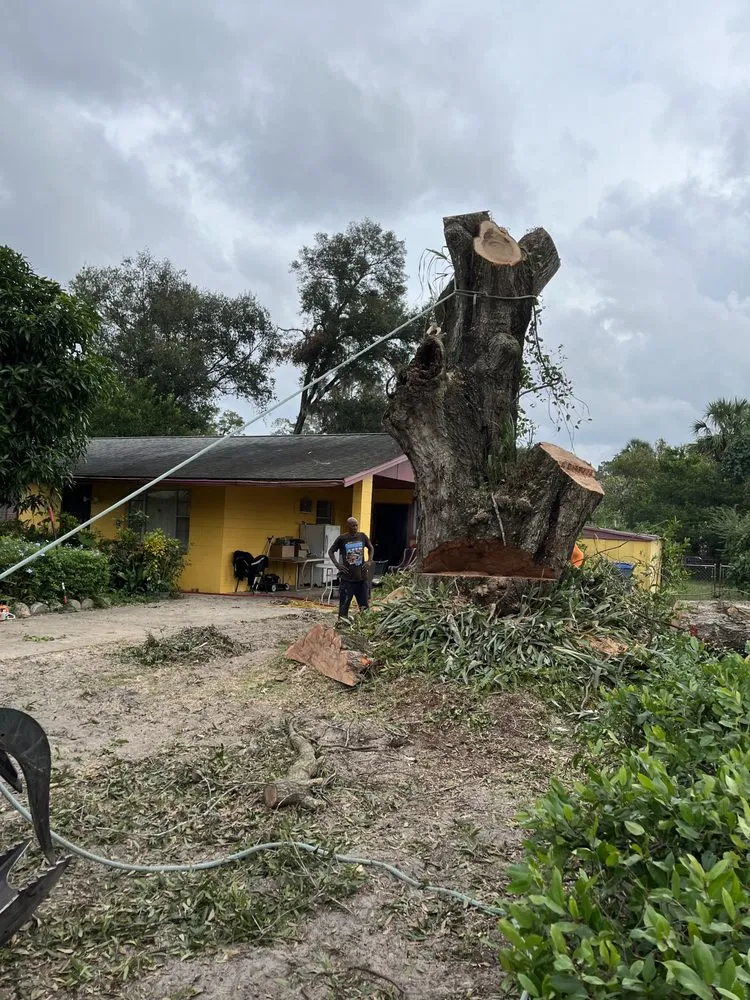 Local landscape installation for homes in DeLand, FL by Premier Tree & Lawn