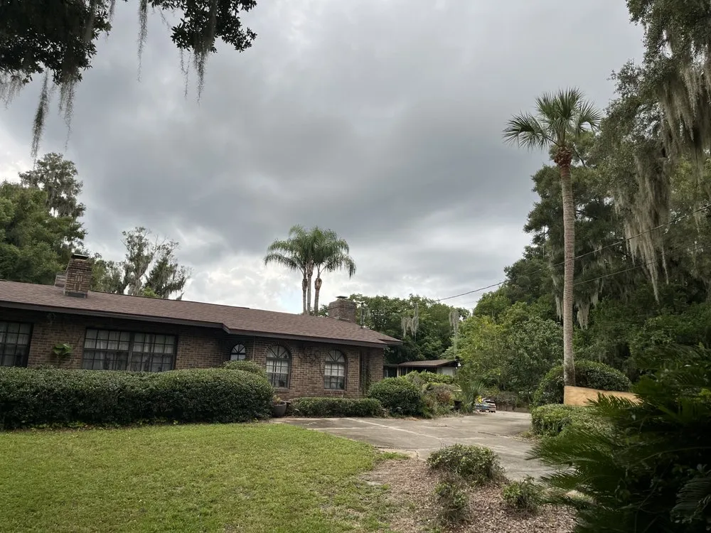 Top-rated yard cleanup service in DeLand, FL by Premier Tree & Lawn