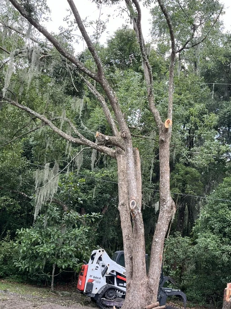 Trusted landscape design experts serving DeLand, FL - Premier Tree & Lawn