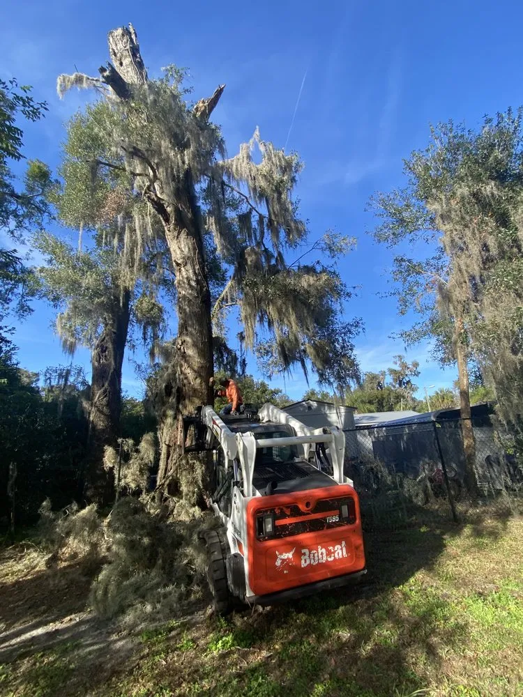 Top-rated landscape design for beautiful yards across DeLand, FL - Premier Tree & Lawn