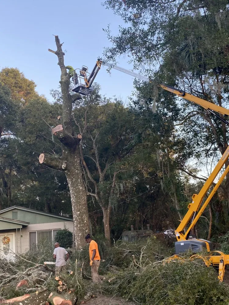 Top-rated residential landscaping for outdoor upgrades across DeLand, FL - Premier Tree & Lawn