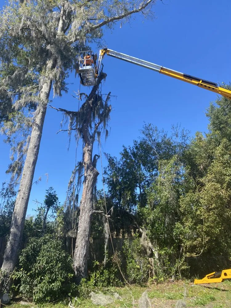 Local landscaping services in DeLand, FL - Premier Tree & Lawn