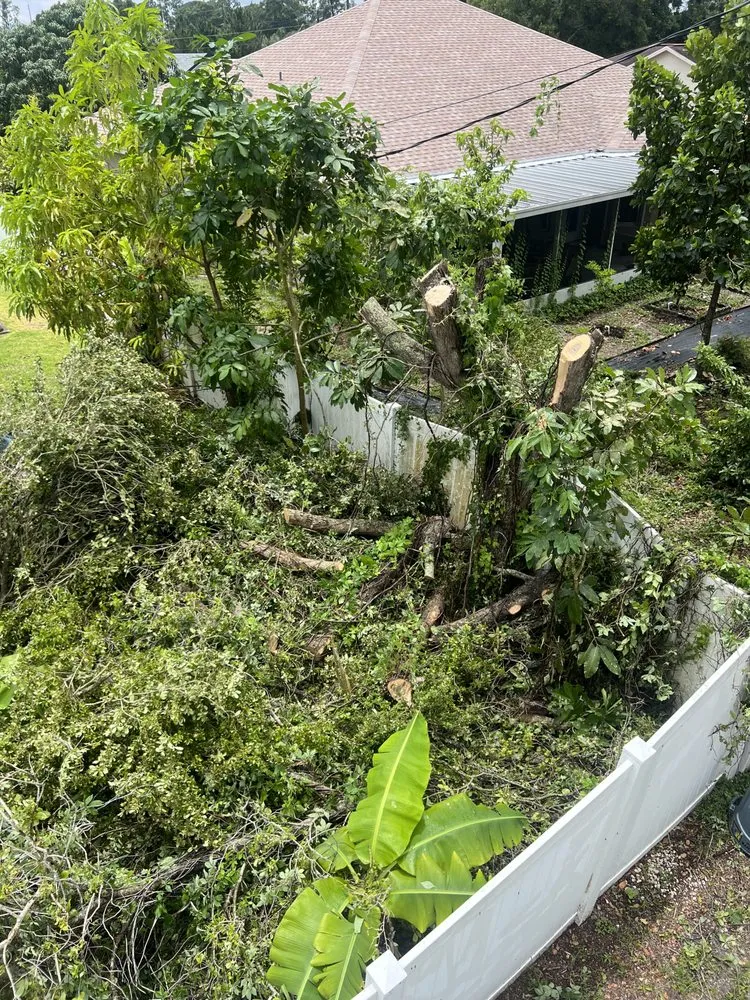 Trusted landscaping services in Fort Pierce, FL - Premier tree and land services