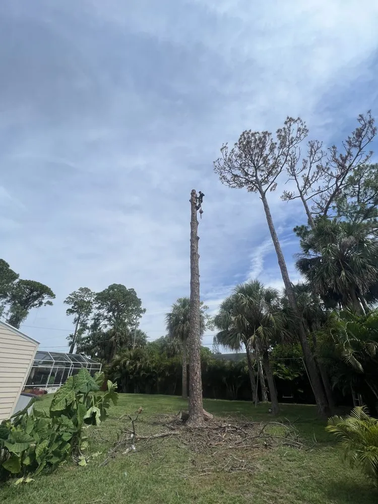 Professional lawn care service for homes in Fort Pierce, FL by Premier tree and land services