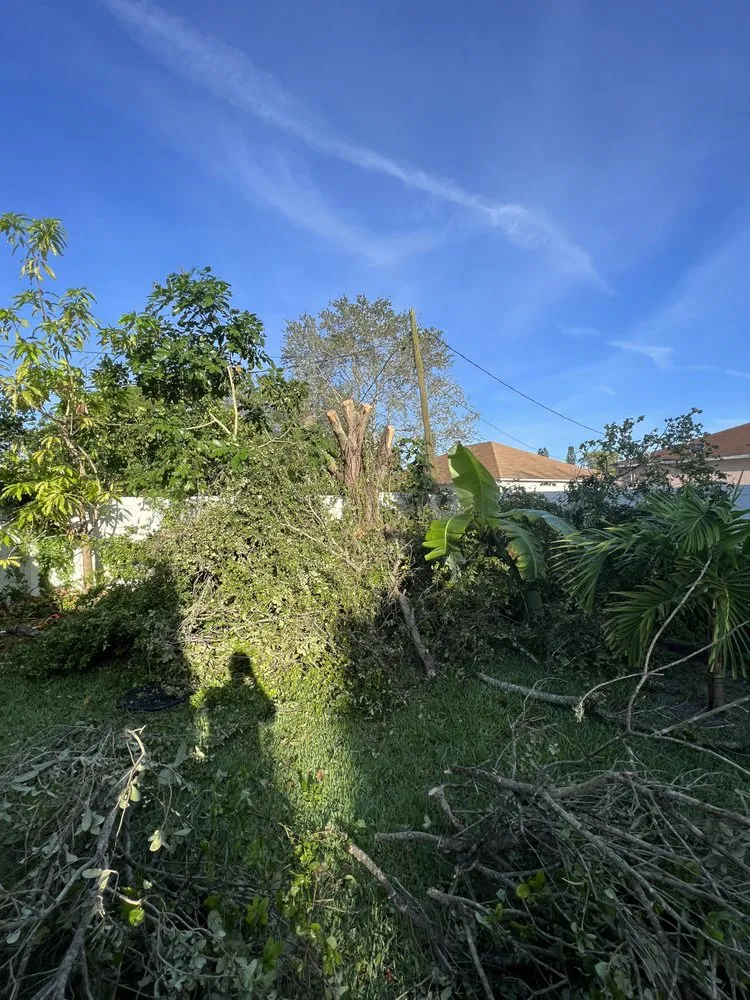 Affordable yard maintenance experts serving Fort Pierce, FL - Premier tree and land services