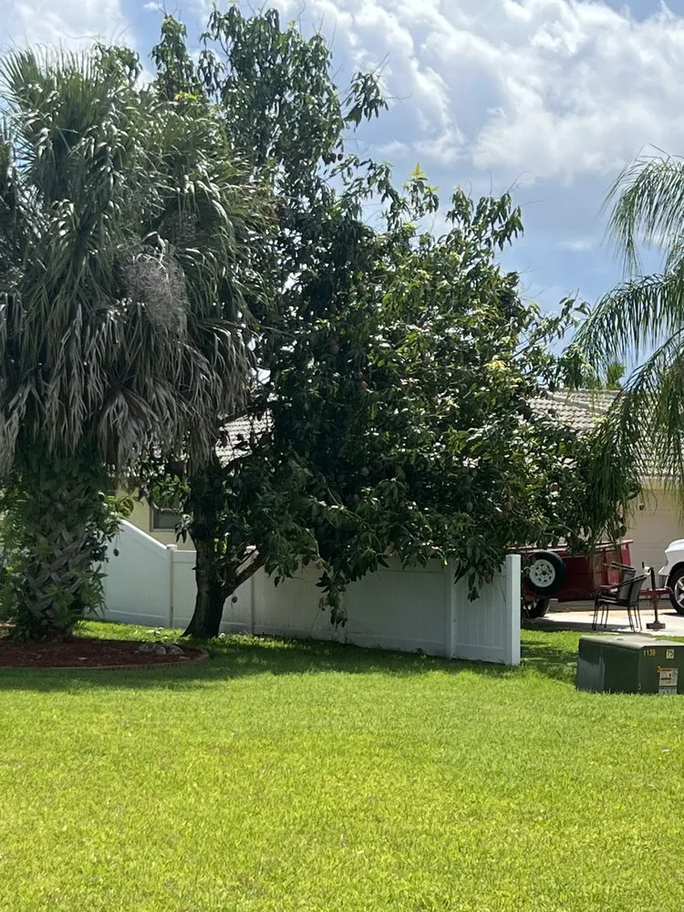 Professional landscaping services experts serving Fort Pierce, FL - Premier tree and land services