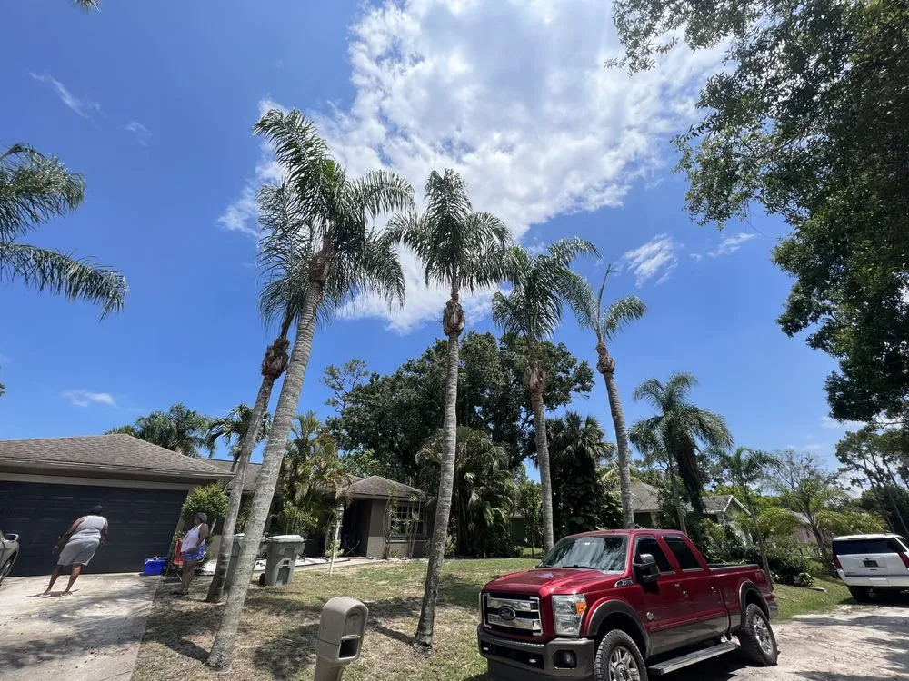 Professional yard cleanup service with custom design in Fort Pierce, FL by Premier tree and land services