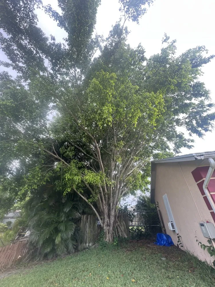 Trusted landscape design in Fort Pierce, FL - Premier tree and land services