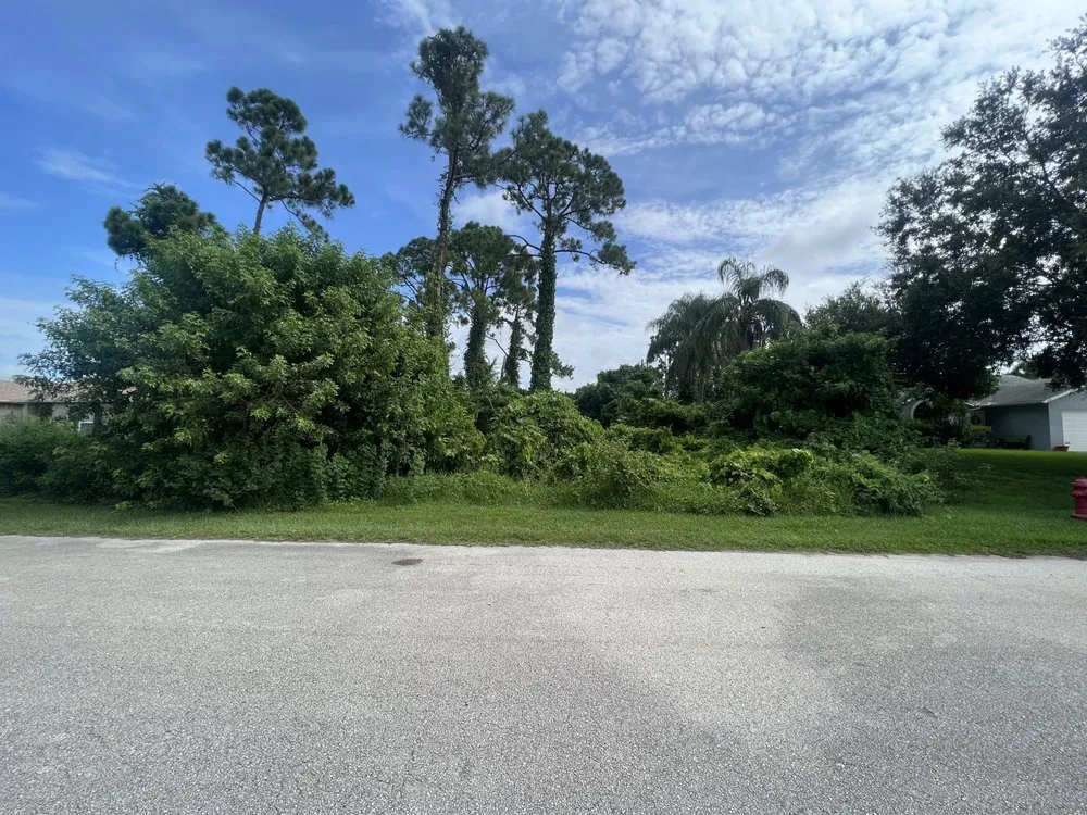 Custom landscape design for year-round maintenance in Fort Pierce, FL by Premier tree and land services