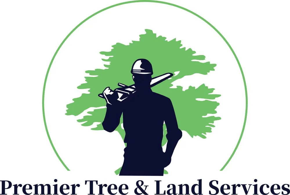 Custom lawn care service in Fort Pierce, FL - Premier tree and land services