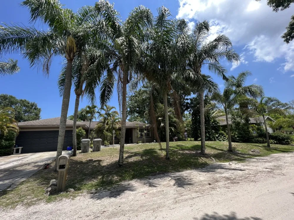 Trusted landscaping services in Fort Pierce, FL by Premier tree and land services