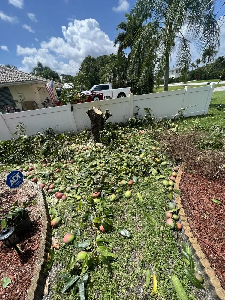Top-rated residential landscaping experts serving Fort Pierce, FL - Premier tree and land services