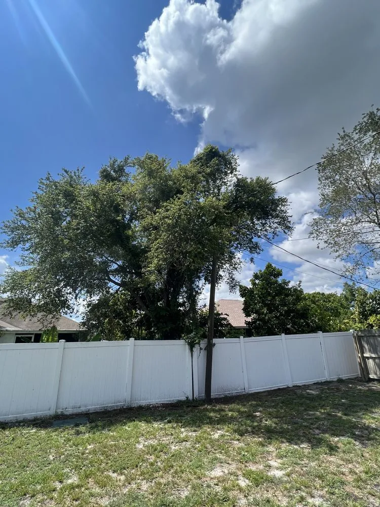 Local garden landscaping for homes in Fort Pierce, FL by Premier tree and land services