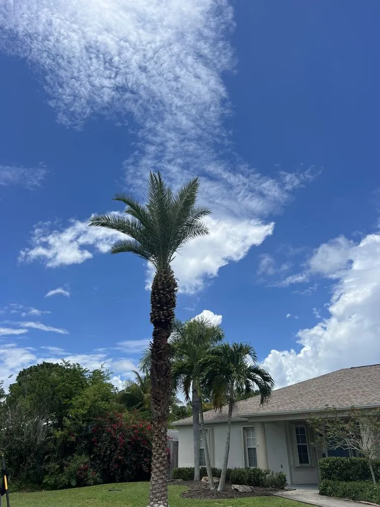 Expert residential landscaping for homes across Fort Pierce, FL - Premier tree and land services