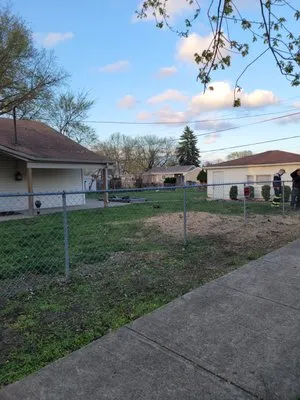 Premier Tree Service and Landscape