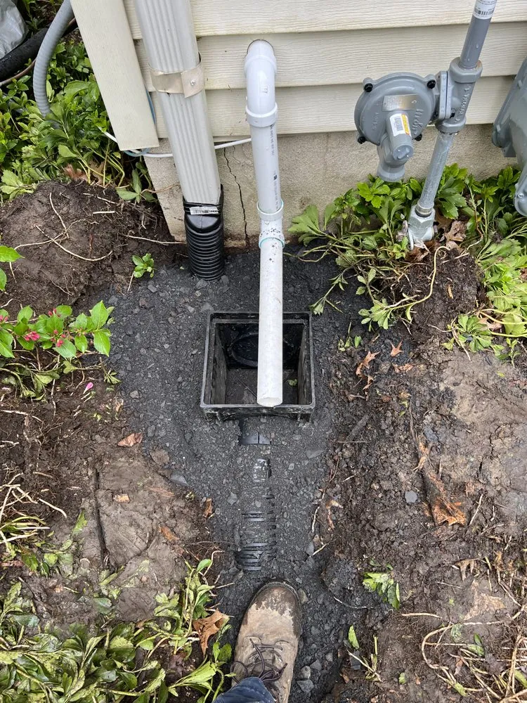 Trusted landscape installation in Gloucester City, NJ by Premier Tree Service