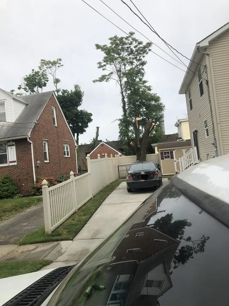 Top-rated yard maintenance in Gloucester City, NJ - Premier Tree Service